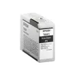 EPSON Singlepack Photo Black T850100 photo du produit