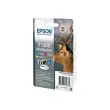 EPSON Multipack 3-colours T1306 DURABrit photo du produit