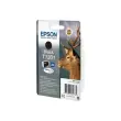 EPSON Singlepack Black T1301 DURABrite U photo du produit