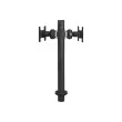 NEWSTAR Desk Mount 10-24 inch Black photo du produit