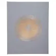 Livre d'or 100p or 27x22cm Ellipse gris photo du produit