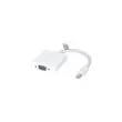 Convertisseur actif mini DisplayPort vers VGA photo du produit