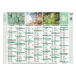 CAL BQUE 18X13,5 FR Equology par 10 photo du produit