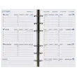 AG MODUL HEBDOPLAN 0915 TD ML rech s/f photo du produit