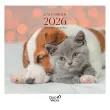CAL FEUILLES 30X30 FR animaux par 5 photo du produit