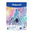 Pelikan Bloc &agrave; dessin C 2/10, A2, 100 g/m2, 10 feuilles photo du produit