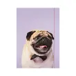 folia Pochette de rangement &agrave; dessins BASIC 'Puggy Love', A3 photo du produit