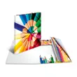 HERMA Chemise &agrave; &eacute;lastiques 'Couleurs', carton, A4 photo du produit