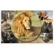 HERMA Sous-main 'Animaux d'Afrique', (L)550 x (H)350 mm photo du produit