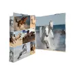 HERMA Classeur à anneaux 'Animals' - chevaux, A4, mécanisme photo du produit