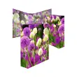 HERMA Classeur &agrave; motifs fleurs 'Purple Sensation', A4 photo du produit