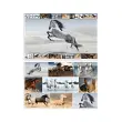 HERMA Sous-main 'Chevaux', (L)550 x (H)350 mm photo du produit