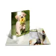 Chemise à élastiques Chevaux - PP Glossy - A4 - Herma photo du produit