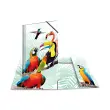 HERMA Chemise à élastiques Animaux exotiques, A4, oiseaux photo du produit