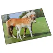 L&auml;ufer Sous-main cheval et poulain, 400 x 530 mm photo du produit