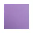 25 feuilles papier Maya 270 g - 500 x700 mm - Violet - Clairefontaine photo du produit