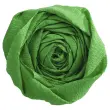 Papier crepon standard 0, 5x2m vert clair 10 feuilles - Clairefontaine photo du produit