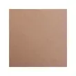 Feuille papier maya 270g 500x700mm brun 25 unit&eacute;s - Clairefontaine photo du produit