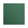 Feuille papier maya 270g 500x700mm vert antique 25u - Clairefontaine photo du produit