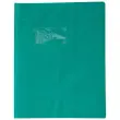 Protege - cahier 17x22cm plastique 22/100e vert - Clairefontaine photo du produit