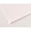 Papiers dessin feuille mi - teintes n335 160g 50x65cm blanc - Canson photo du produit