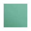 Feuille papier maya 270g 500x700mm vert sapin 25 u - Clairefontaine photo du produit