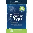 PACK DE 5 PLAQUES ACRYLIQUES A4 POUR IMPRESSION CYANOTYPE photo du produit