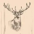 Serviettes &agrave; motif Deer - 330 x 330 mm - Naturel - Papstar photo du produit