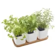 Pot à herbes aromatiques EDEN, set de 3, blanc - Orthex photo du produit