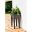 Couvercle pour mini-jardinière 'VEG&Table', transparent - Eda Fontaine photo du produit