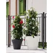 Pot de fleurs 'Standard One 40', antracite - Tera photo du produit