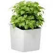 Pot pour herbes aromatiques, blanc - Tesa photo du produit