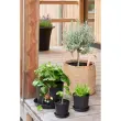 Pot de fleurs CULTIVATE, diamètre: 210 mm, noir - Orthex photo du produit