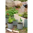 Pot de fleurs CULTIVATE, diamètre: 160 mm, gris - Orthex photo du produit