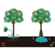 Sac d'arrosage pour arbres, PVC, 75 litres, vert - Bradas photo du produit