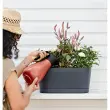 Arrosoir 'Flow', 0,785 litre, coral - Tera photo du produit