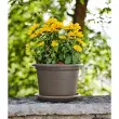 Pot de fleurs Basic round - diam&egrave;tre 400 mm - Anthracite - Tera photo du produit