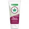 Crème au chanvre, tube de 100 ml - Haro photo du produit
