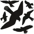 Etiquette de signalisation 'oiseaux', multicolore - Herma photo du produit