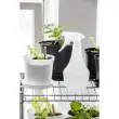 Vaporisateur 0,5 litre, turquoise - Orthex photo du produit