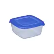 Boîte de congélation Polar, 0,46 litre, bleu - Plast Team photo du produit