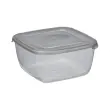 Boîte de congélation Polar, 0,46 litre, bleu - Plast Team photo du produit