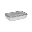 Boîte de congélation Polar, 0,45 litre, gris - Plast Team photo du produit