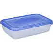 Boîte de congélation Polar, 0,45 litre, gris - Plast Team photo du produit
