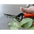 Ciseaux de jardin 'Ciseaux magiques' - Garten Primus photo du produit