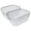 Set de 2 bo&icirc;tes de cong&eacute;lation Helsinki, 0,7 L - Plast Team photo du produit