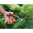 Sécateur de jardin 'Sécateur spécial rosier' - Garten Primus photo du produit