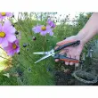 Ciseaux à plantes vivaces & à herbes - Garten Primus photo du produit