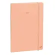 Agenda 2027 Ministre Color - Semainier Planning Multilingue - Pastel Orange - 13 mois de décembre à décembre - 16x24 cm - Papier Clairefontaine blanc - Fabrication française - Quo Vadis photo du produit
