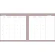 Agenda année scolaire 2026-2027 Exécutif Septembre Color - Semainier Planning - Multilingue - Pastel Violet - 13 mois de août à août - 16x16 cm - Quo Vadis photo du produit